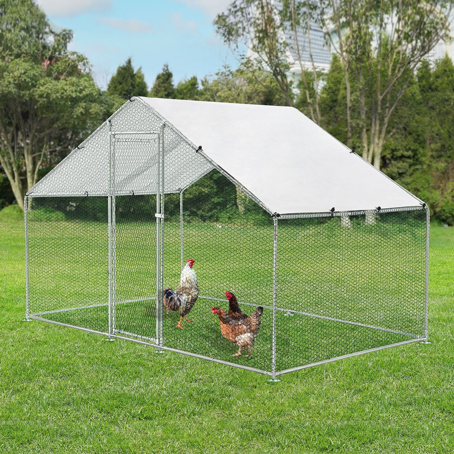 Freilaufgehege HLS25T für Hühner - Image 13