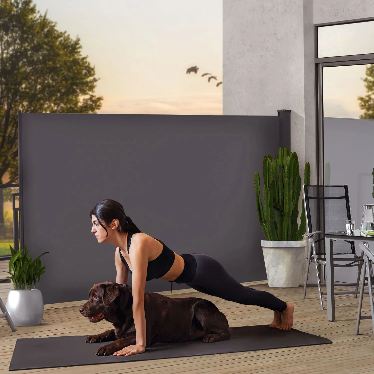 Seitenmarkise Dubai - Image 62