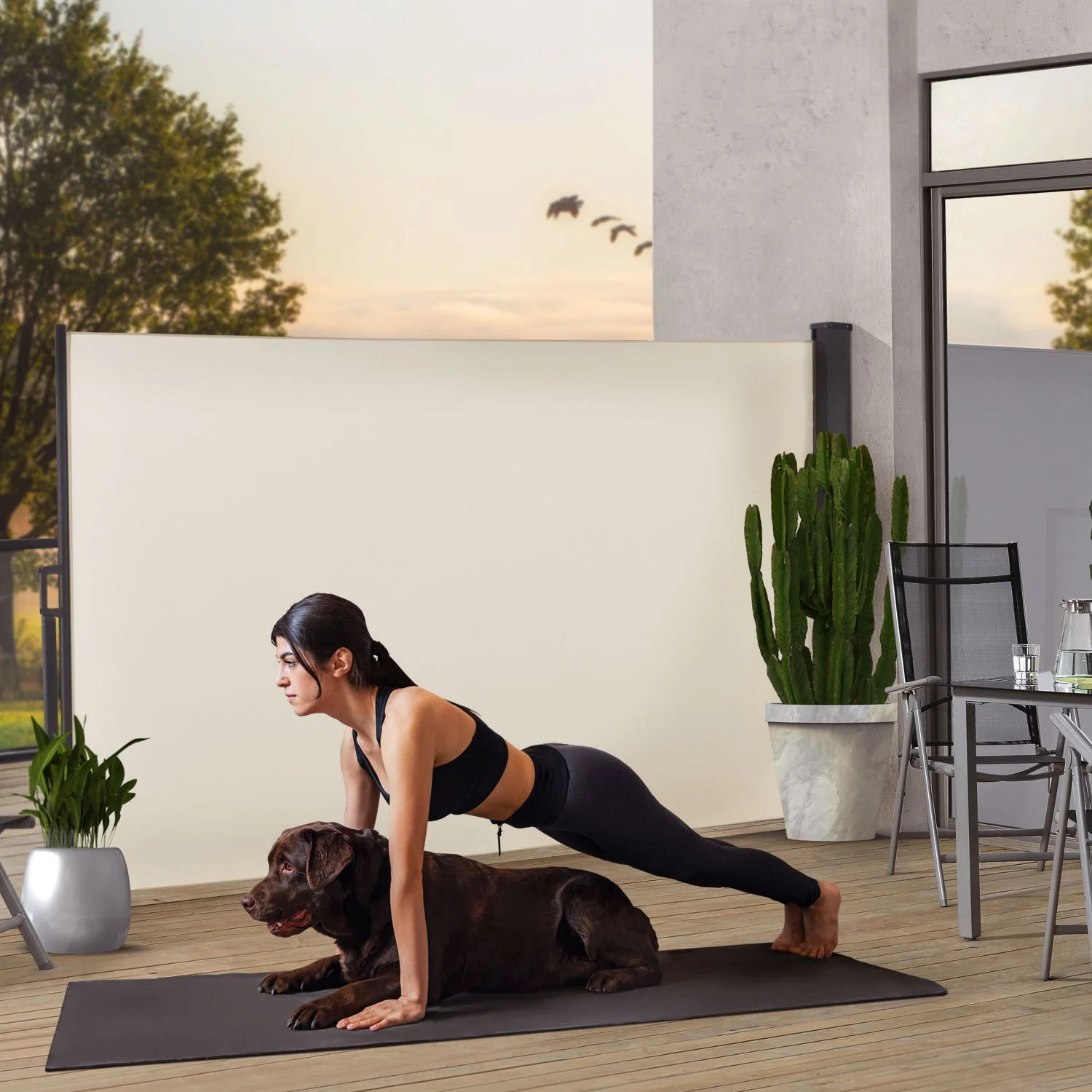 Seitenmarkise Dubai - Image 92